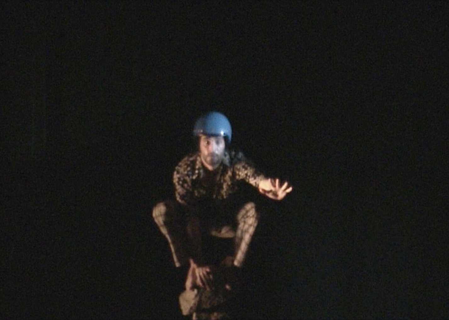 Psylle, 2001